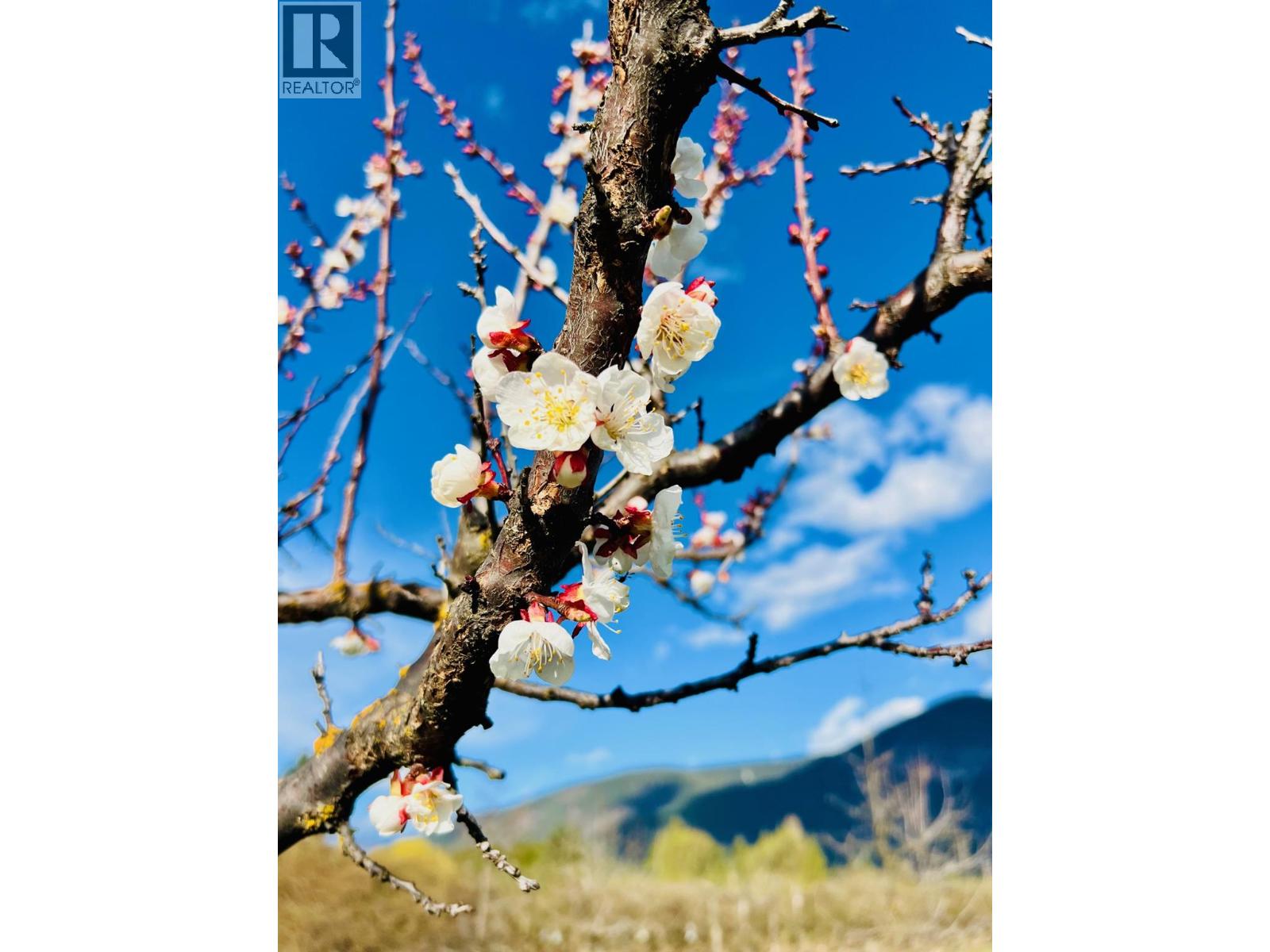 3317 ERICKSON ROAD - 41