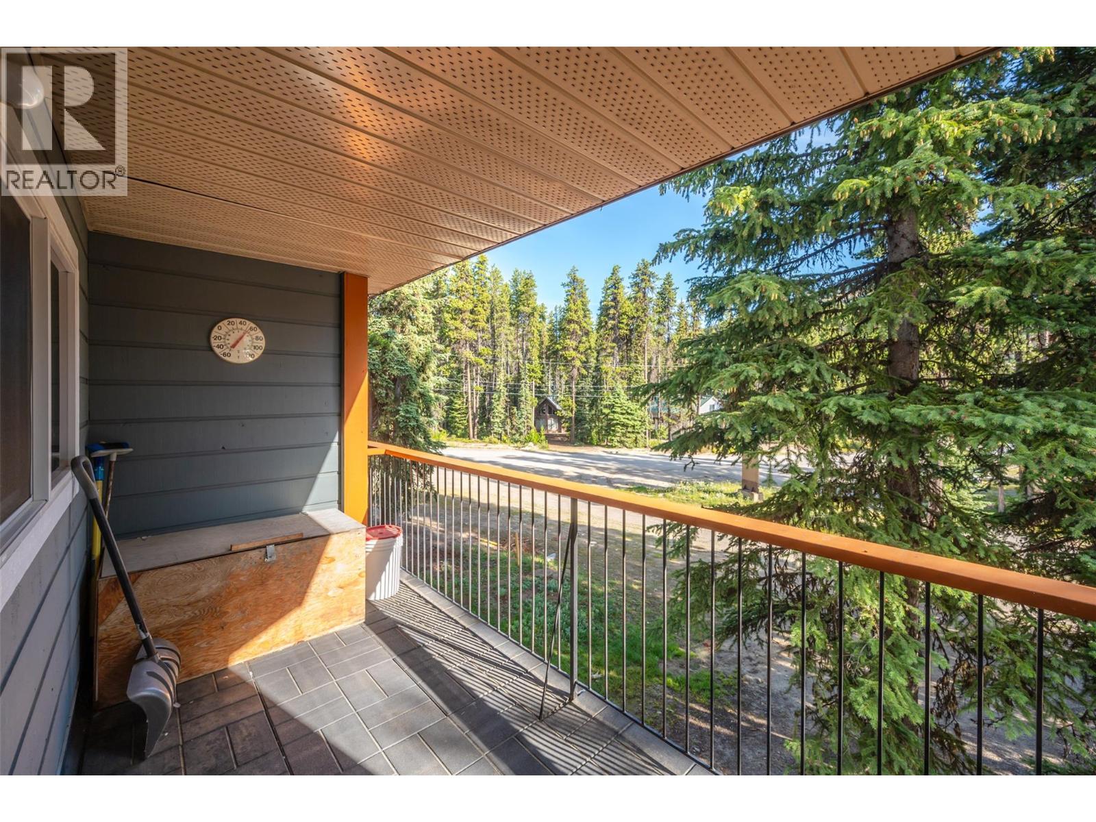 1191 Apex Mountain Road Unit# 202, Apex Mountain