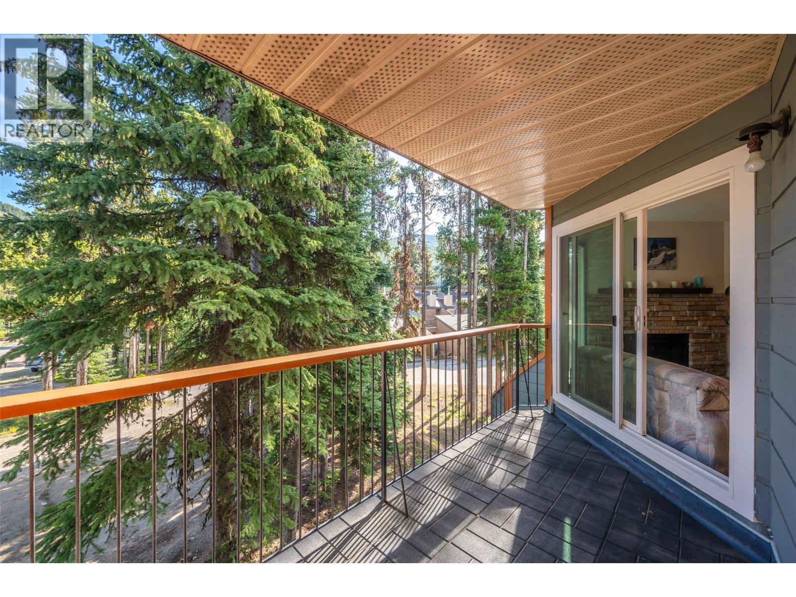 1191 Apex Mountain Road Unit# 202, Apex Mountain