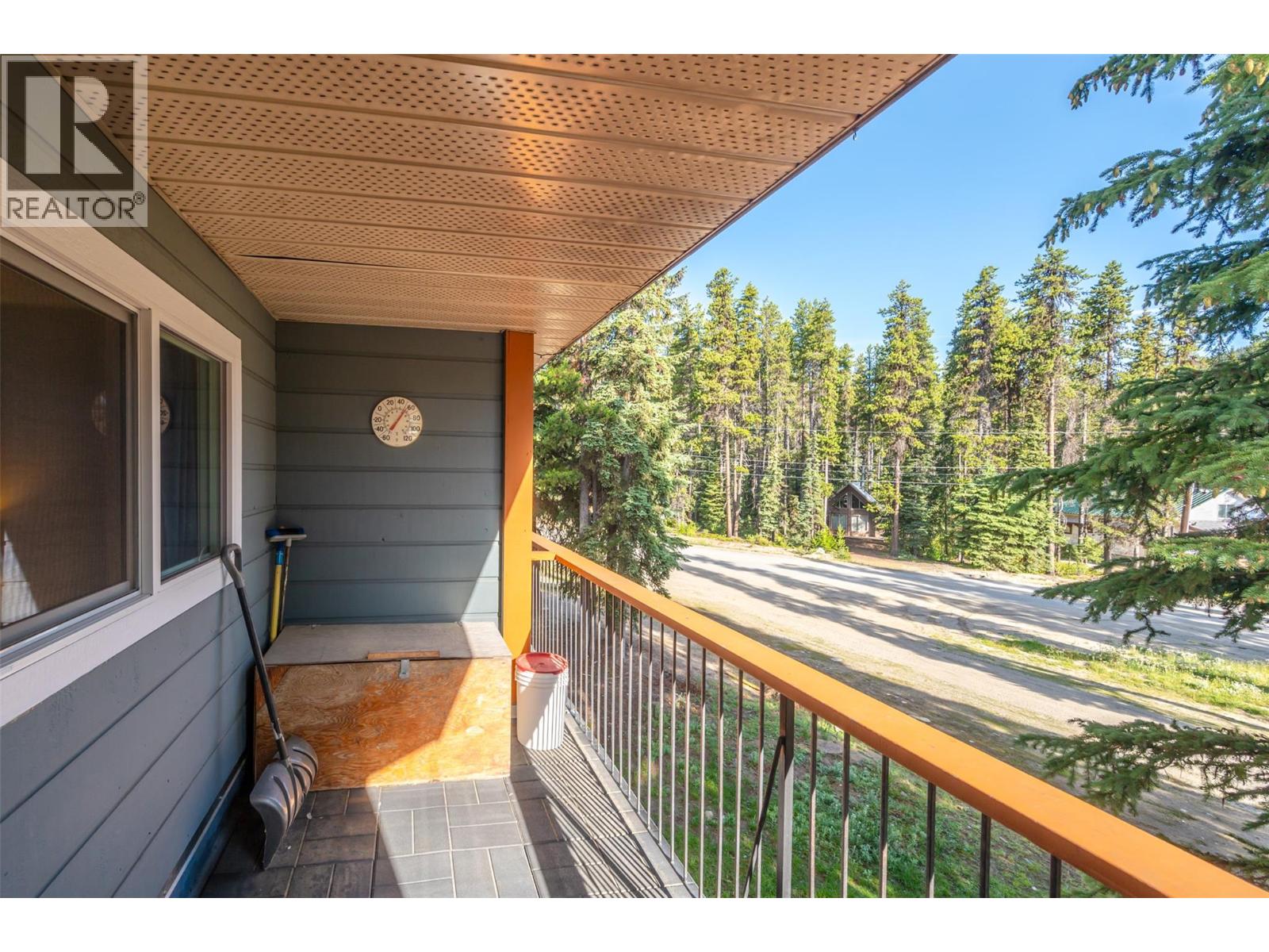 1191 Apex Mountain Road Unit# 202, Apex Mountain