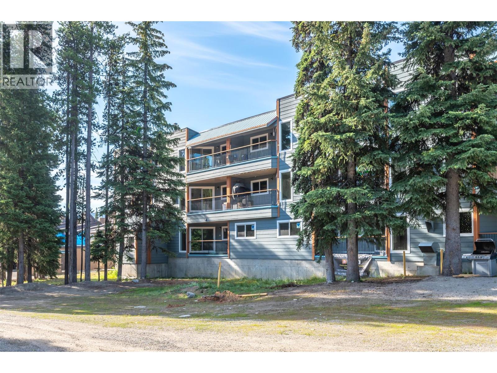 1191 Apex Mountain Road Unit# 202, Apex Mountain