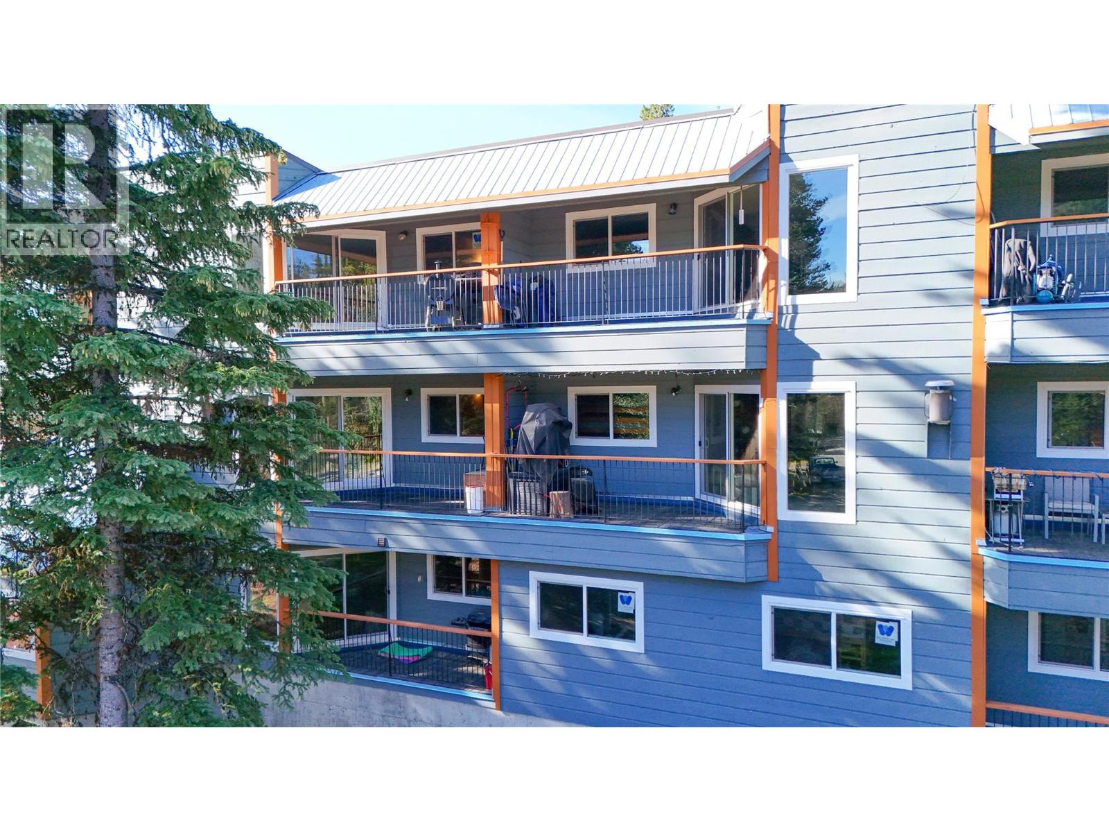 1191 Apex Mountain Road Unit# 202, Apex Mountain