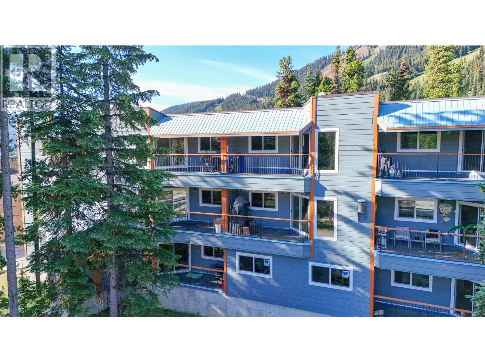 1191 Apex Mountain Road Unit# 202, Apex Mountain