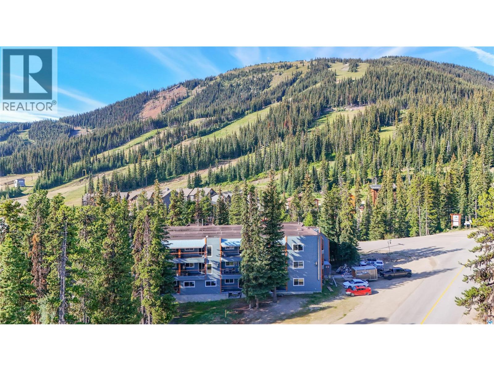 1191 Apex Mountain Road Unit# 202, Apex Mountain