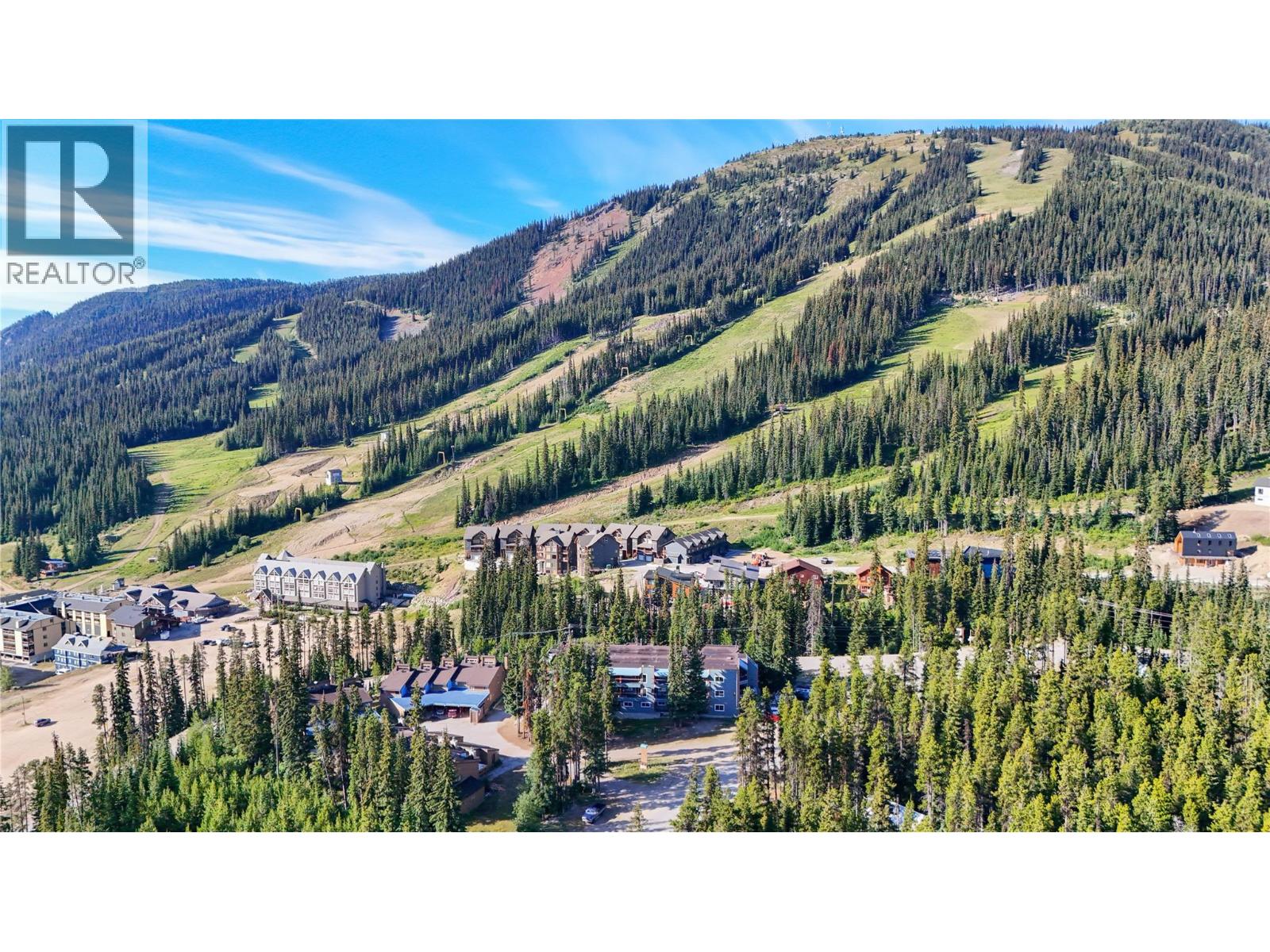 1191 Apex Mountain Road Unit# 202, Apex Mountain