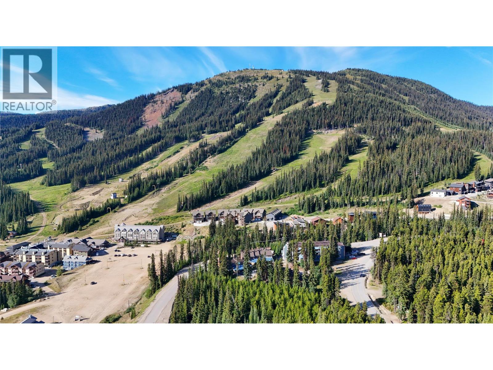 1191 Apex Mountain Road Unit# 202, Apex Mountain