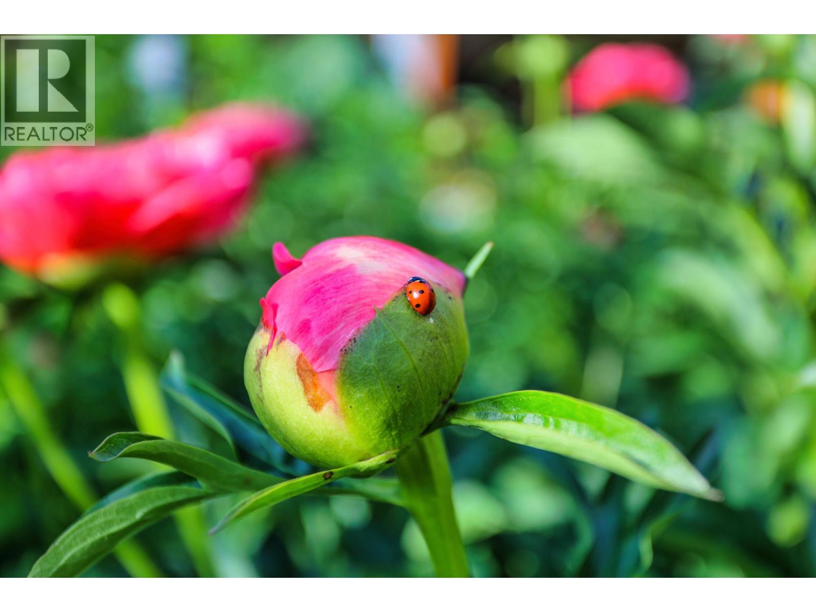 6890 HARROP-PROCTER Road, Harrop