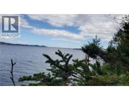 Cunningham Beach Dock Road, Chamcook, NB E5B0A9 Photo 8