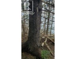 Cunningham Beach Dock Road, Chamcook, NB E5B0A9 Photo 15