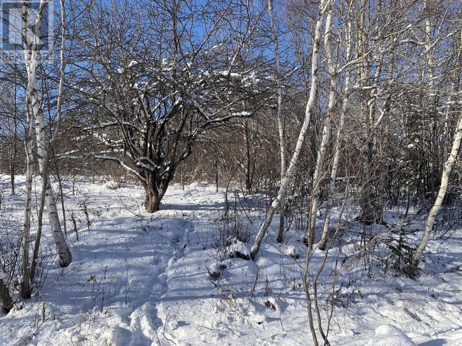 Property 5 of 8 of Lot VV6 721 Hunter Road, Wentworth Valley Preserve