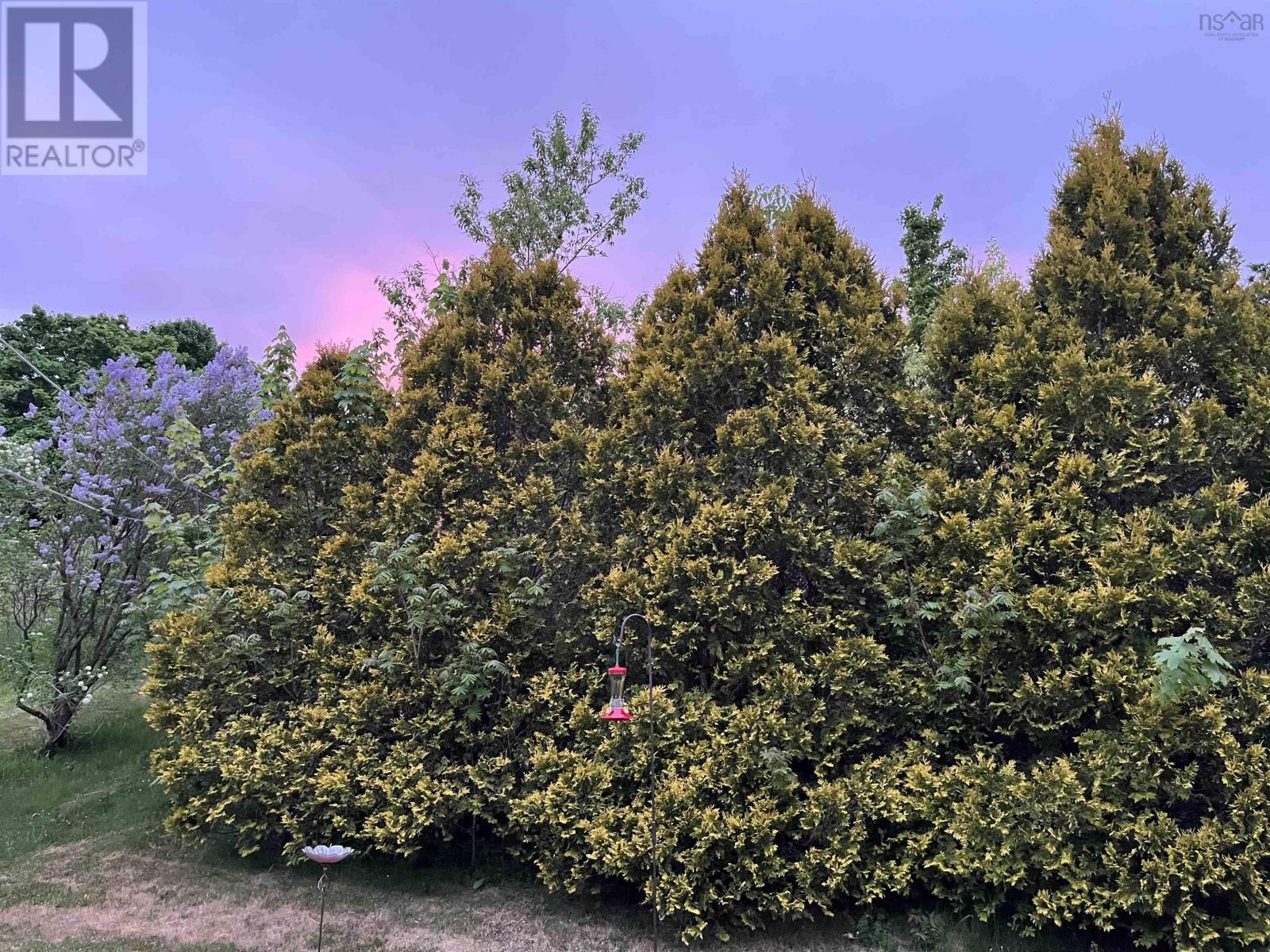 Property 39 of 47 of 3189 Clementsvale Road