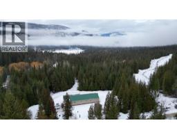 1925 Mcdaniels Road, Castlegar, BC V1N4T2 Photo 27