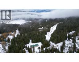 1925 Mcdaniels Road, Castlegar, BC V1N4T2 Photo 32