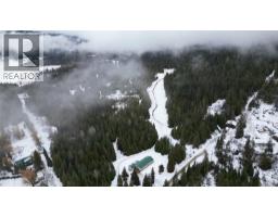 1925 Mcdaniels Road, Castlegar, BC V1N4T2 Photo 33