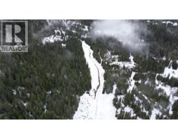 1925 Mcdaniels Road, Castlegar, BC V1N4T2 Photo 36