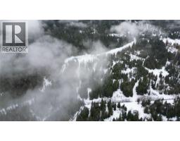 1925 Mcdaniels Road, Castlegar, BC V1N4T2 Photo 39