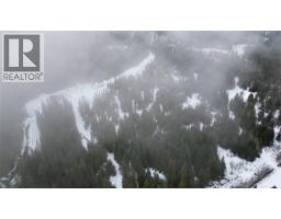 1925 Mcdaniels Road, Castlegar, BC V1N4T2 Photo 40