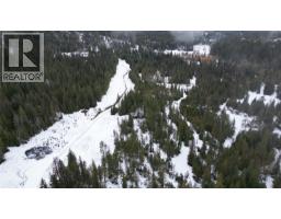 1925 Mcdaniels Road, Castlegar, BC V1N4T2 Photo 41