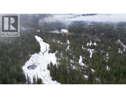 1925 Mcdaniels Road, Castlegar, BC V1N4T2 Photo 42