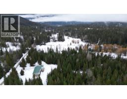 1925 Mcdaniels Road, Castlegar, BC V1N4T2 Photo 44