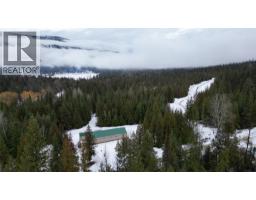 1925 Mcdaniels Road, Castlegar, BC V1N4T2 Photo 48