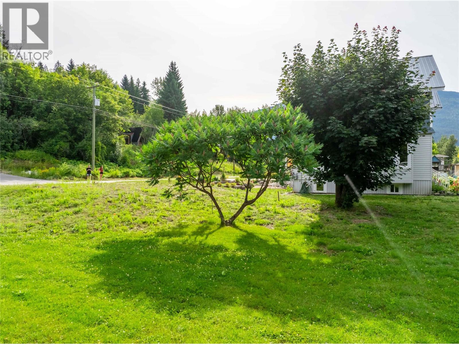 157 Track Street E, Revelstoke