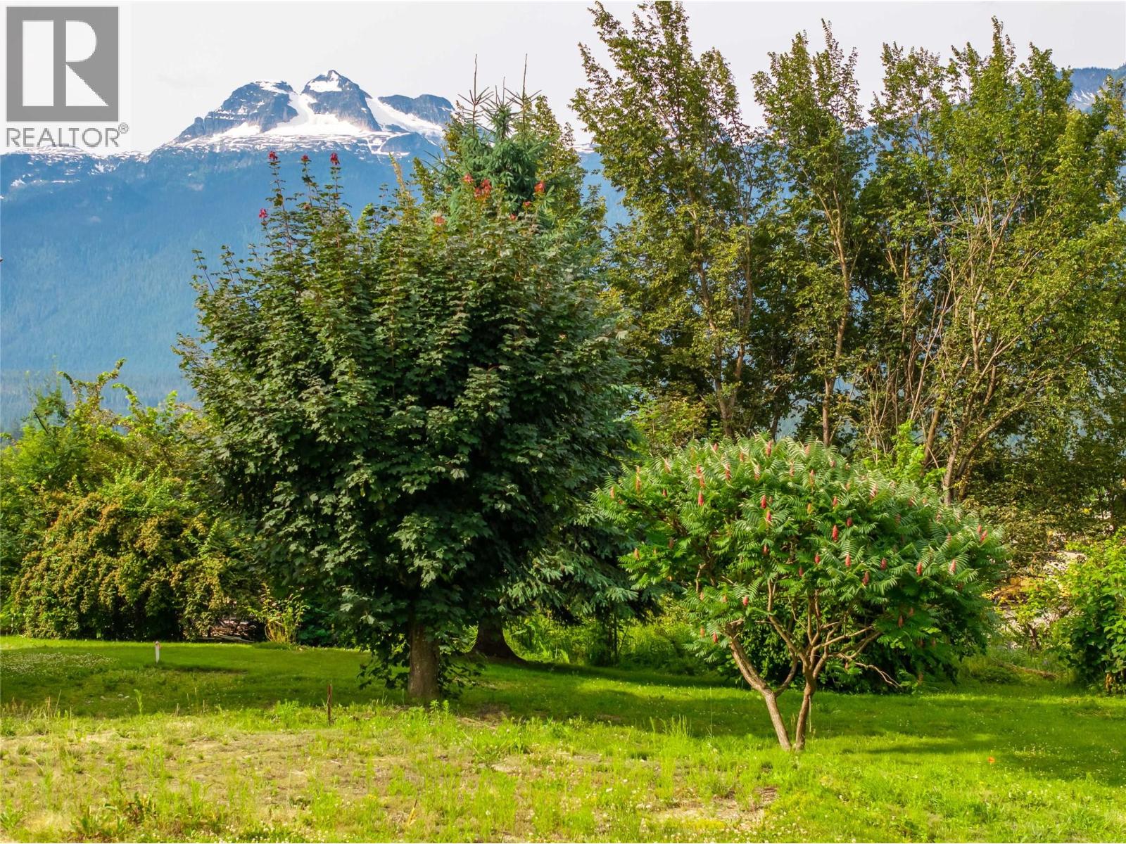 157 Track Street E, Revelstoke