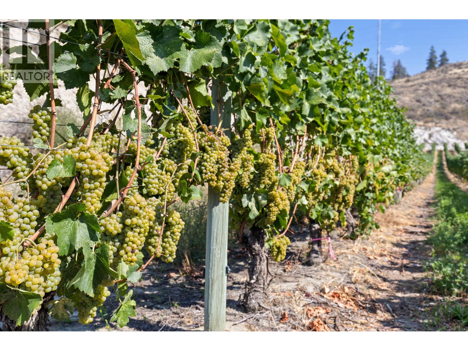 385 Matheson Road, Okanagan Falls