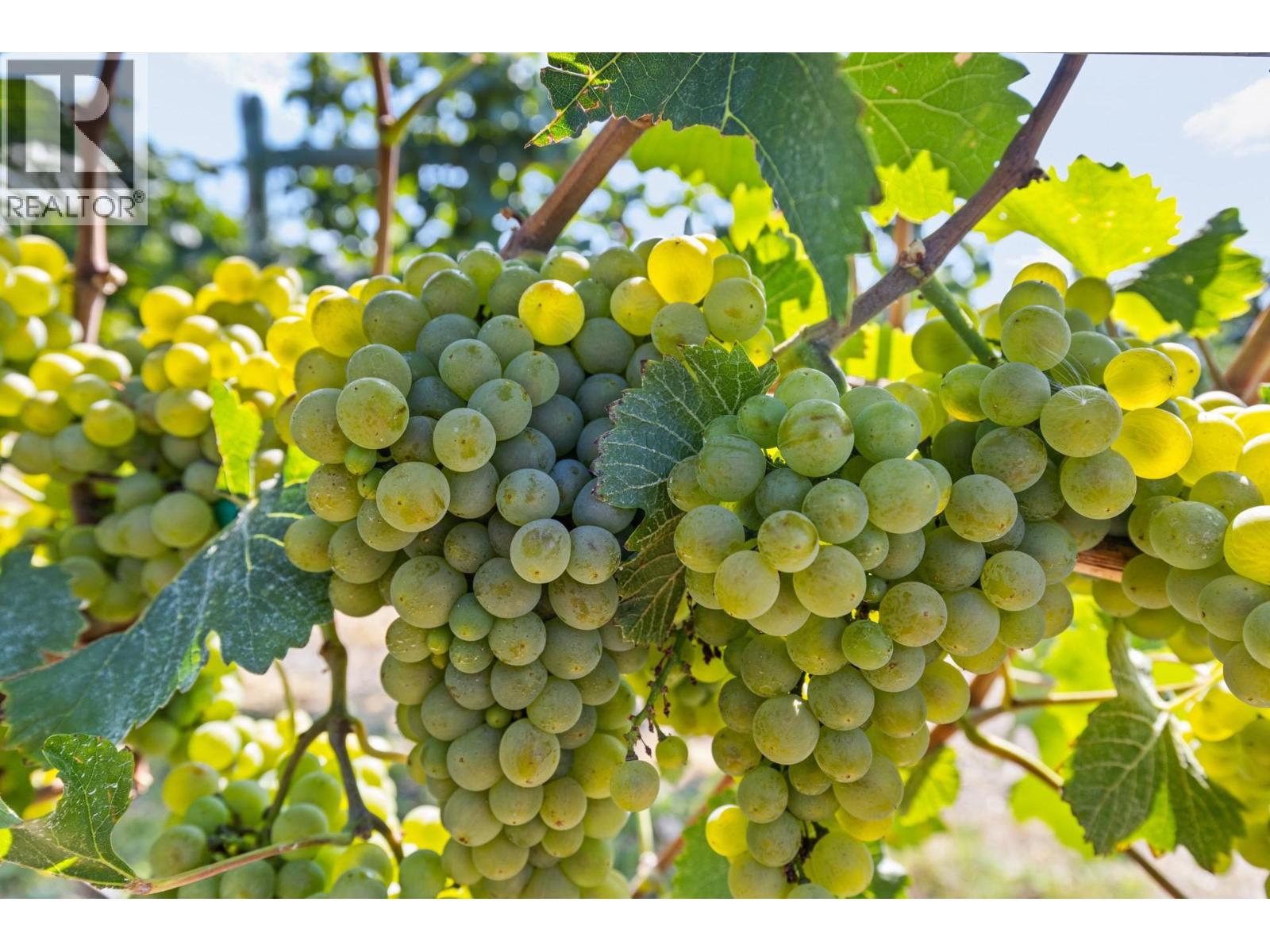 385 Matheson Road, Okanagan Falls