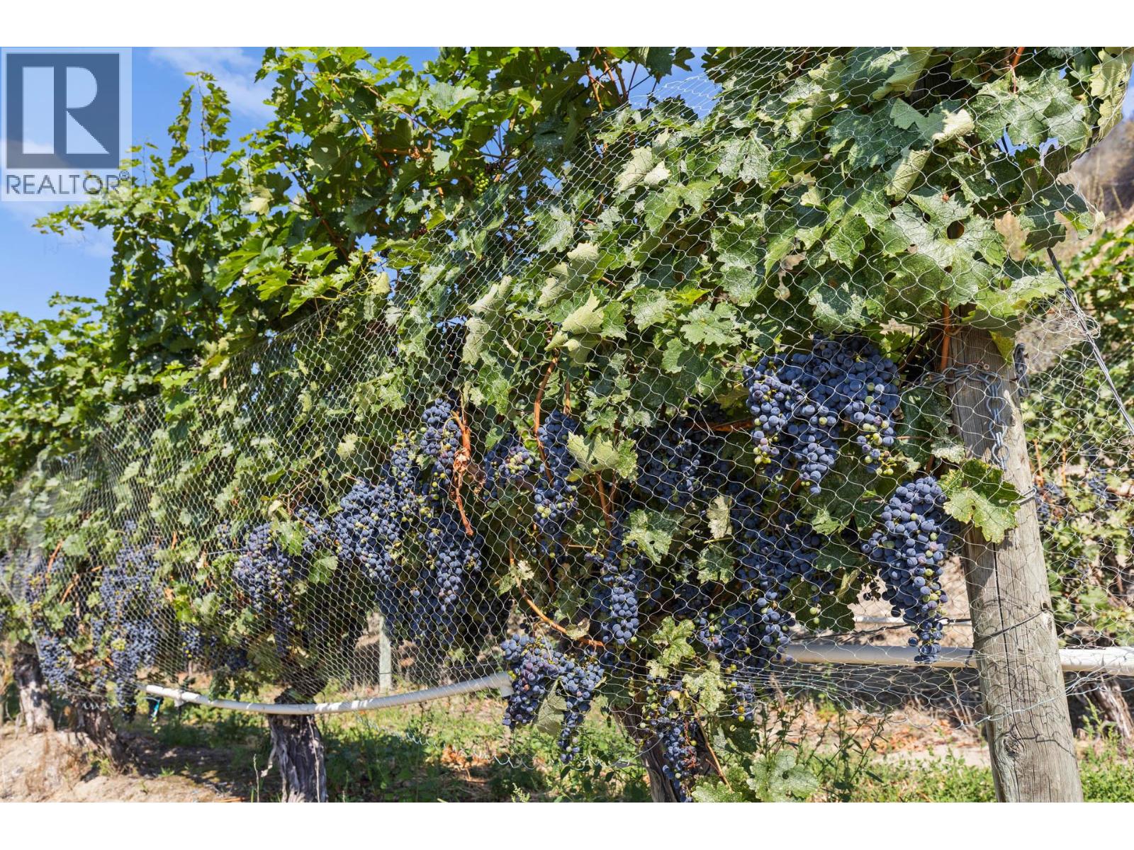 385 Matheson Road, Okanagan Falls