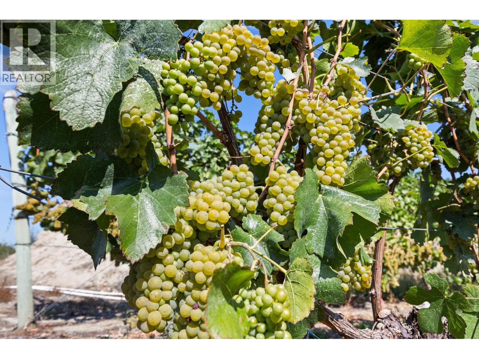 385 Matheson Road, Okanagan Falls