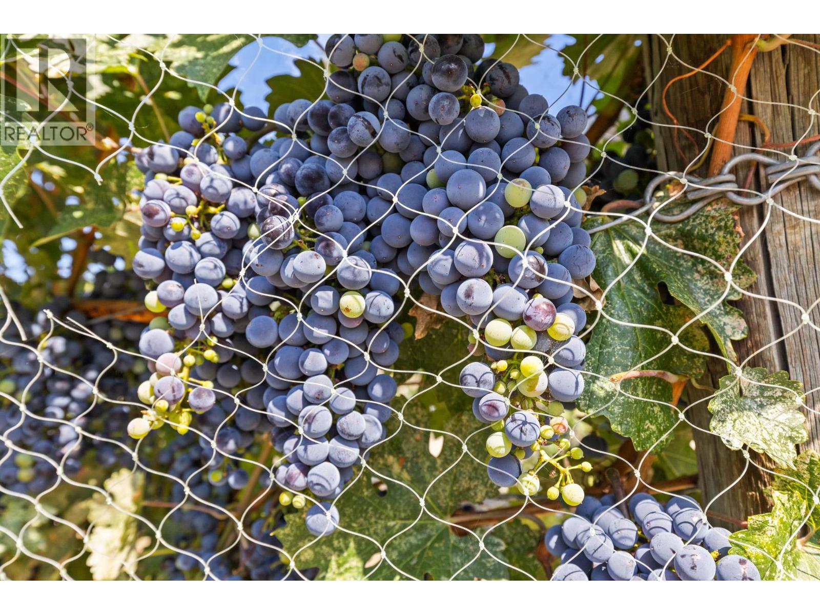 385 Matheson Road, Okanagan Falls