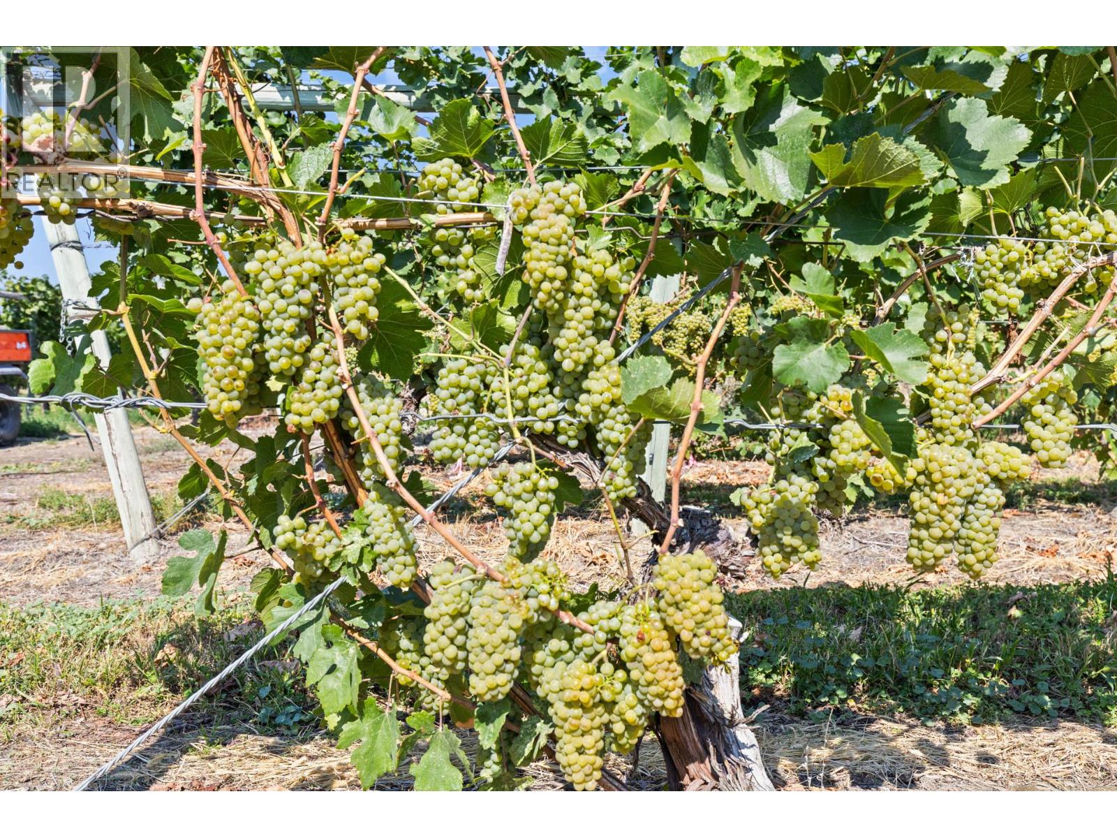 385 Matheson Road, Okanagan Falls