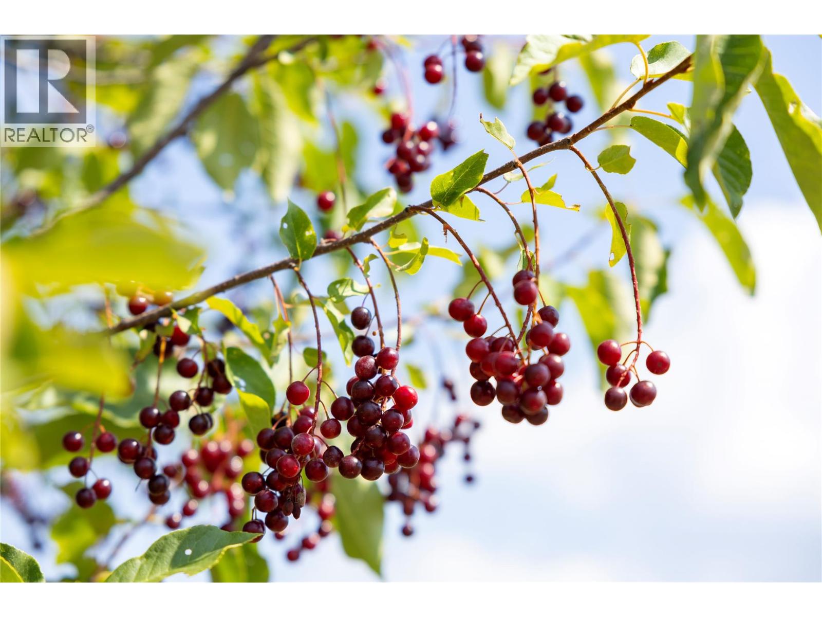  230 Mendenhall Road, Spallumcheen