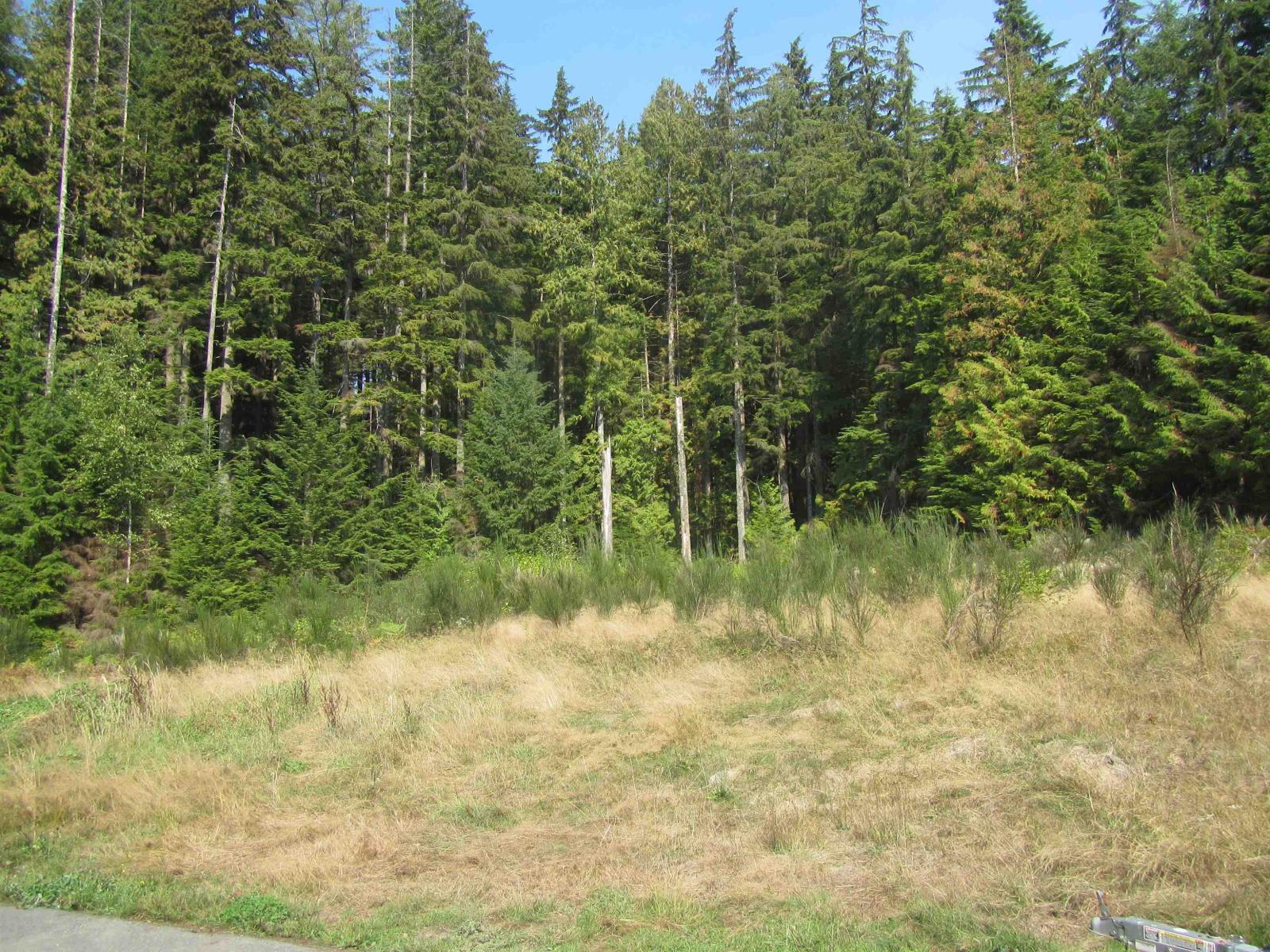 House in Mission - Image 10