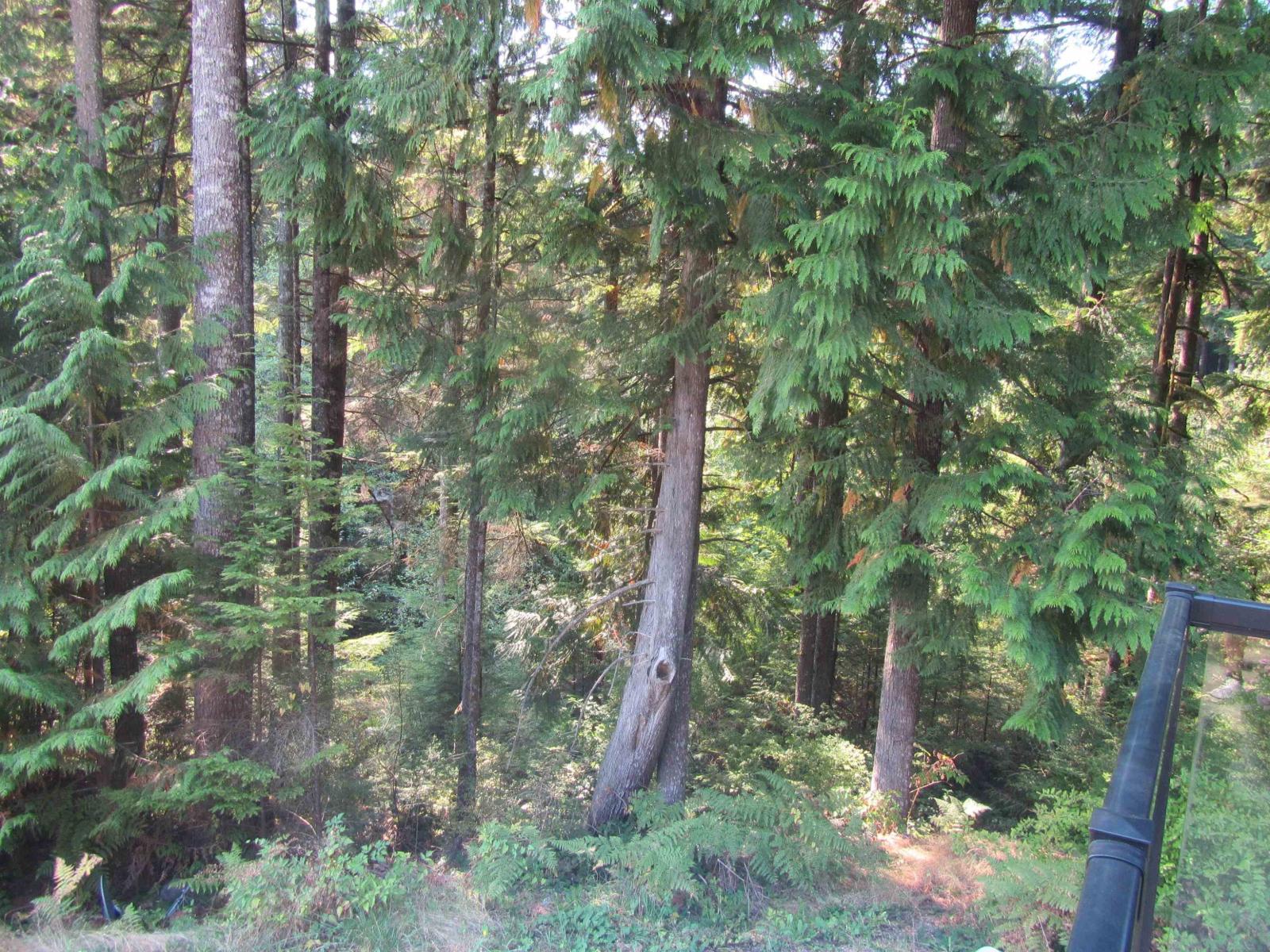 House in Mission - Image 11