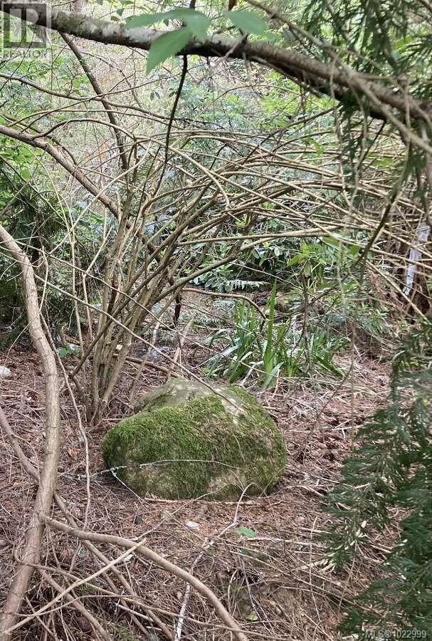  2364 French Road, Sooke