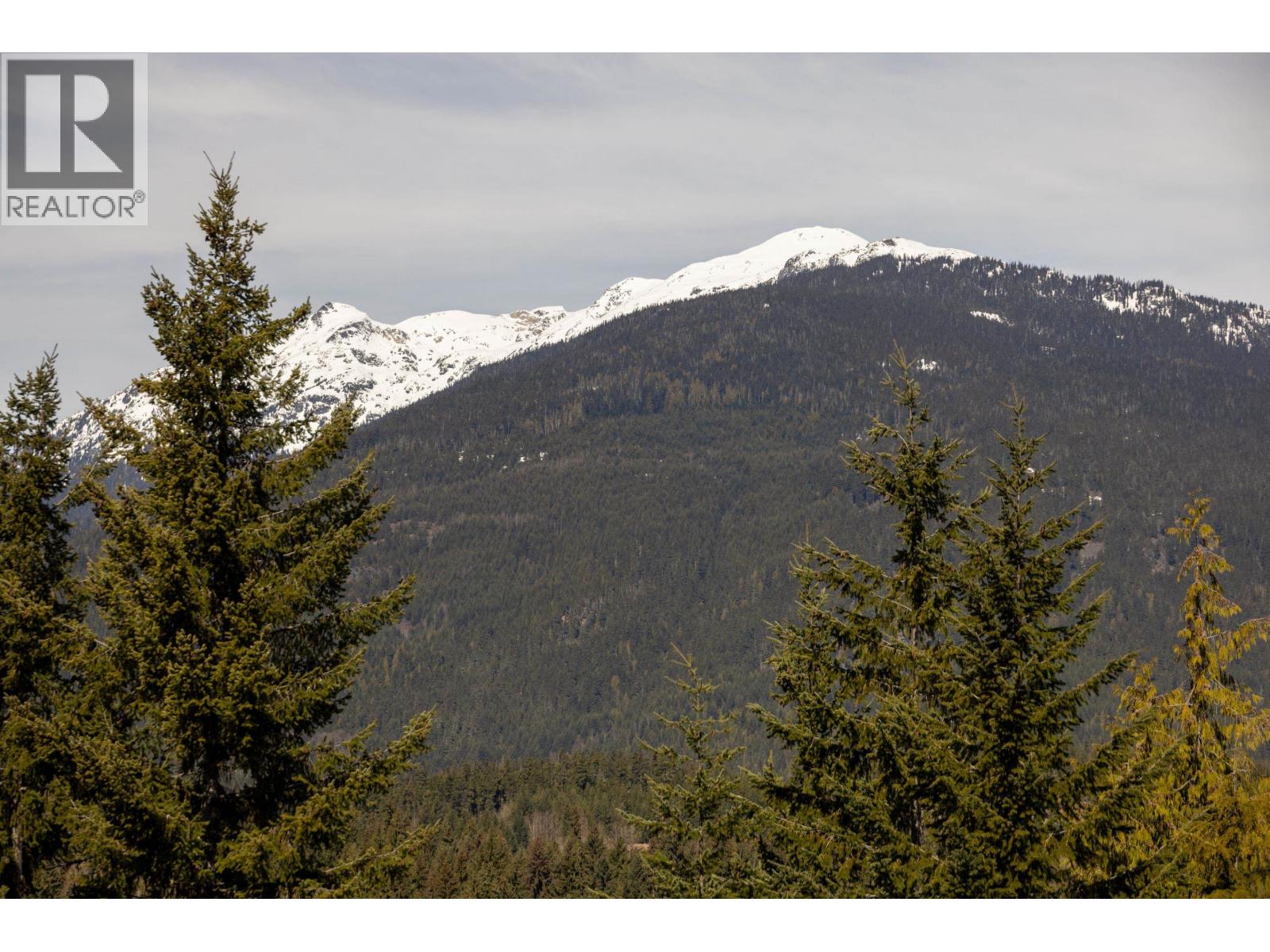 507 4809 SPEARHEAD PLACE, Whistler