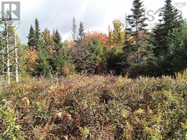 Property 4 of 6 of EAST CLIFFORD