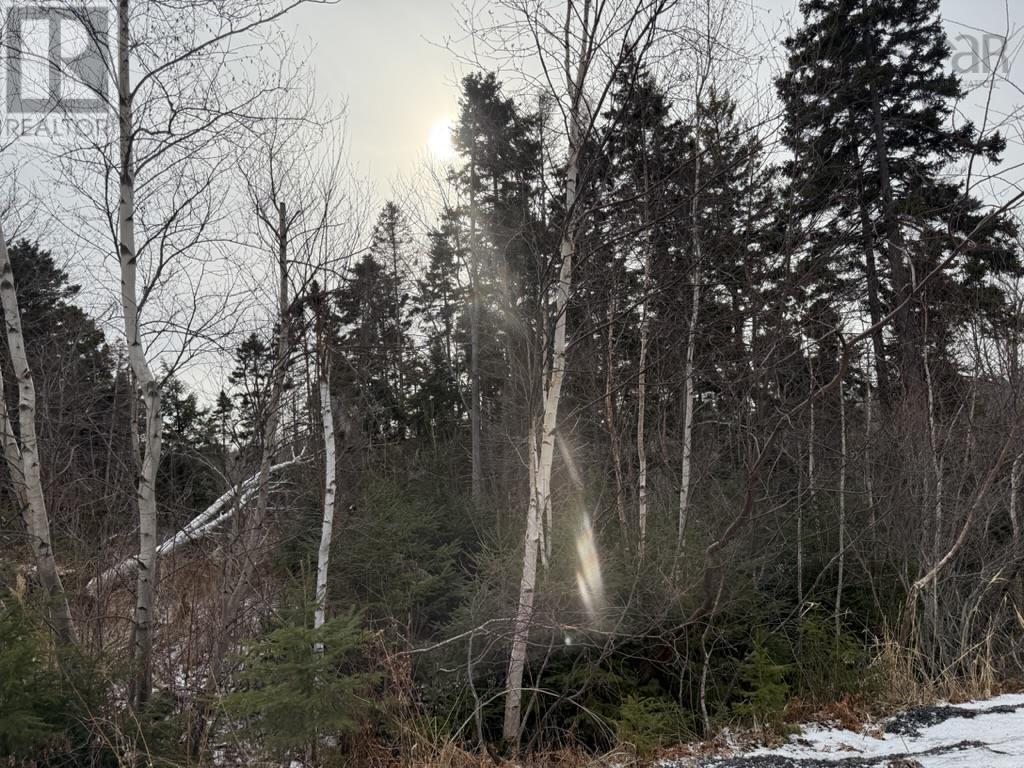 Property 7 of 9 of LOT 4 Ervin Road