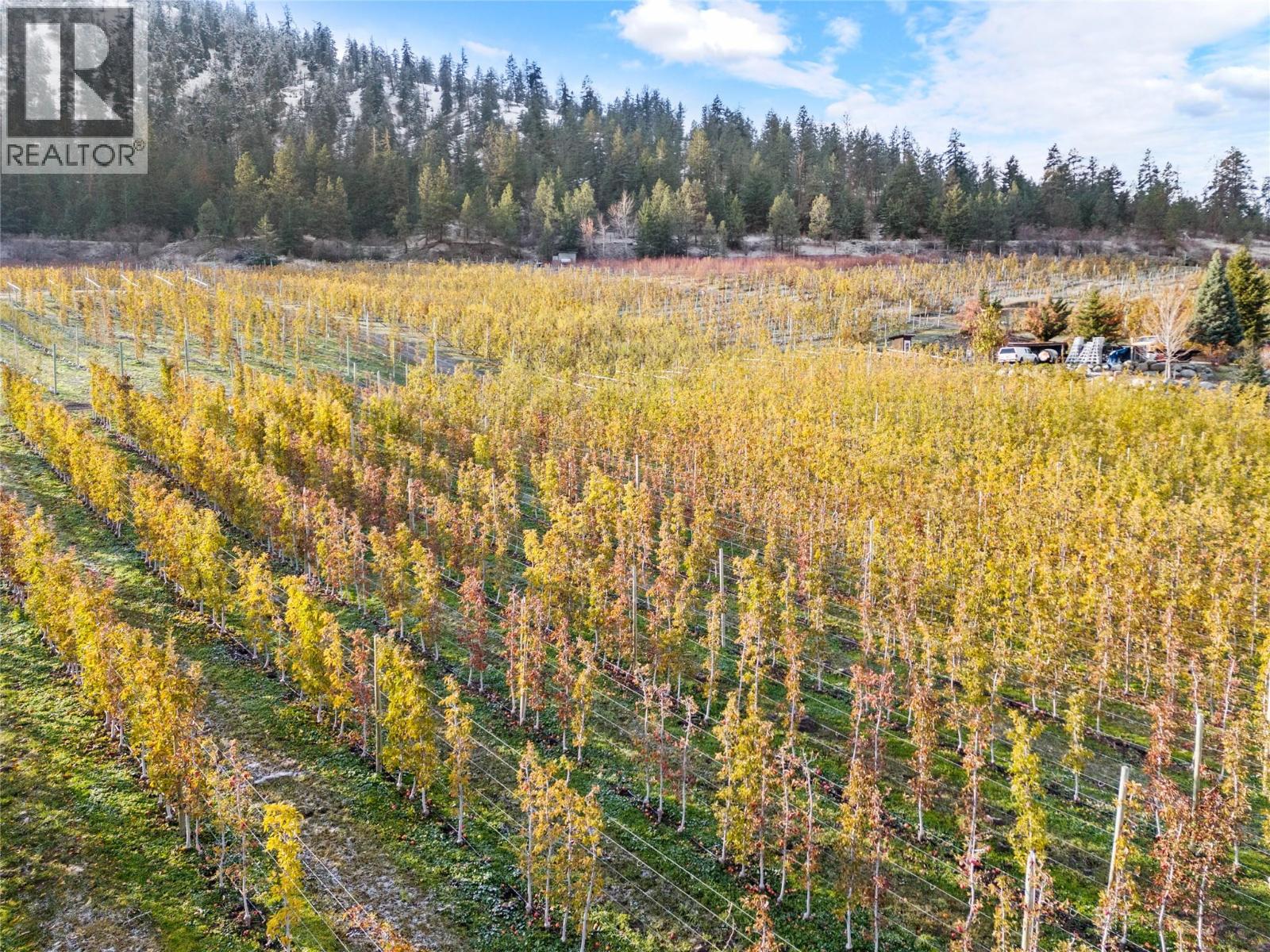 9827 Gillard Avenue, Summerland