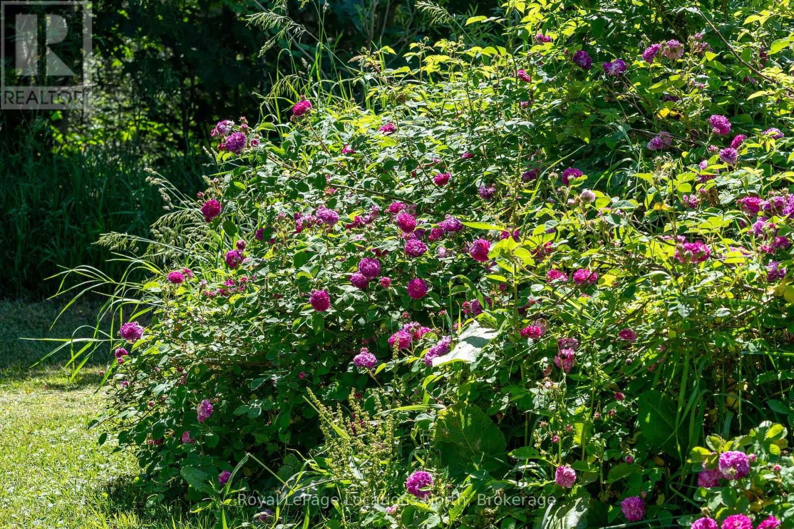 138237 GREY ROAD 112 - Photo 5 of 44, Meaford, Ontario