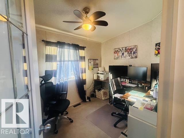 245 Oak Wood Drive NW NW, Edmonton