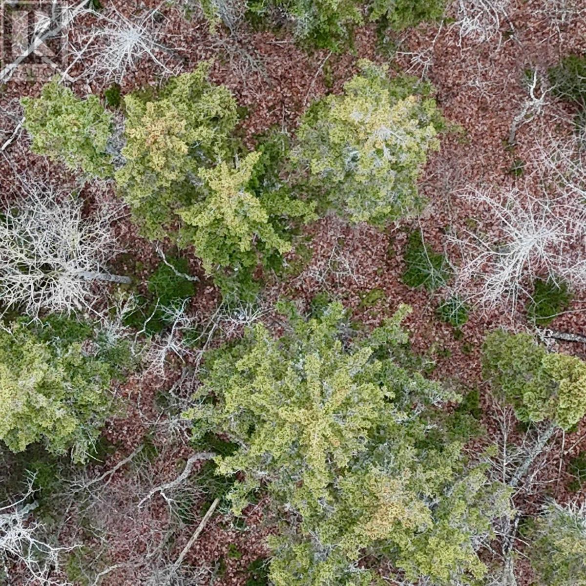 Property 6 of 7 of 0 Little Pond Rd.