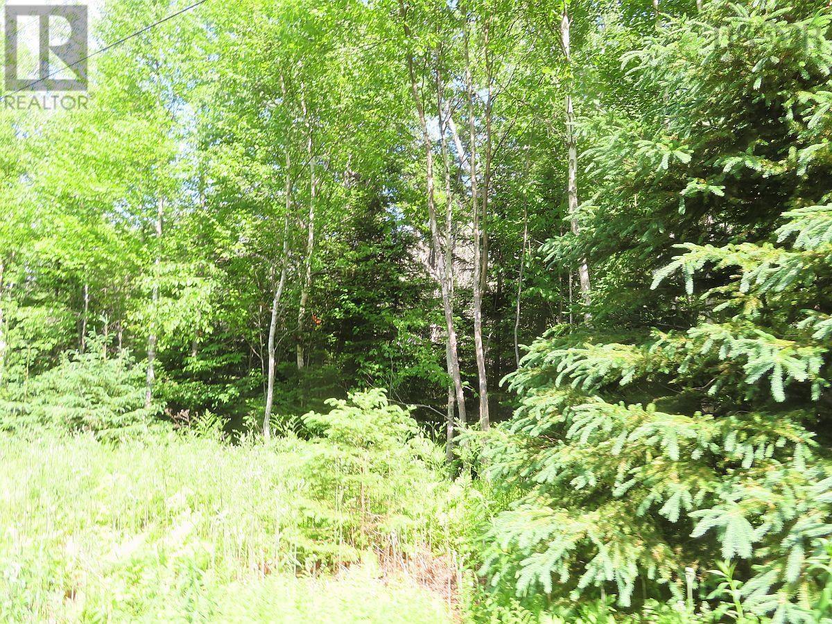 Property 5 of 22 of 99-5 72 Naturer Dream P Boulevard