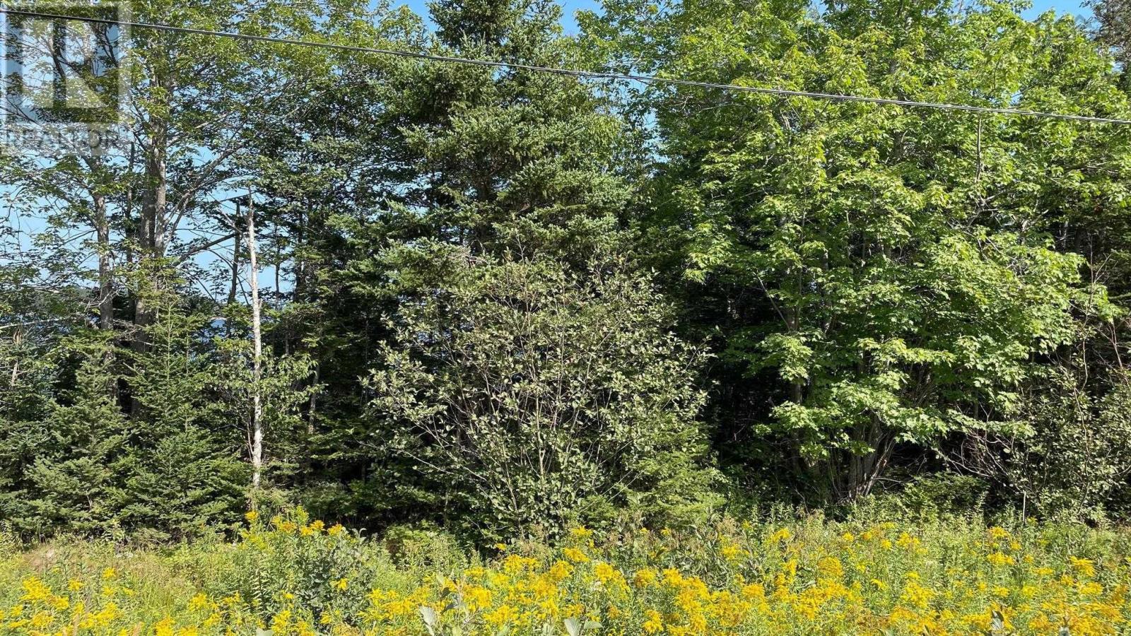 Property 14 of 17 of Grand Goulet Road, River Bourgeois