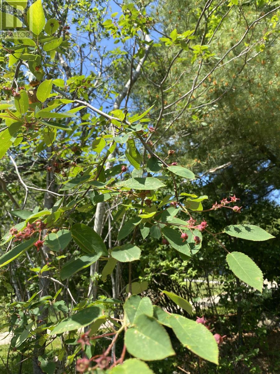 Property 39 of 48 of 121 Barkhouse Road