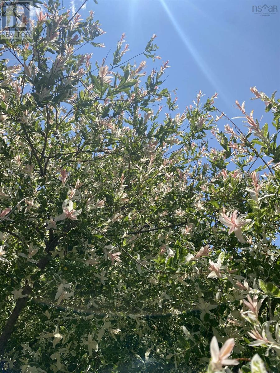 Property 40 of 48 of 121 Barkhouse Road