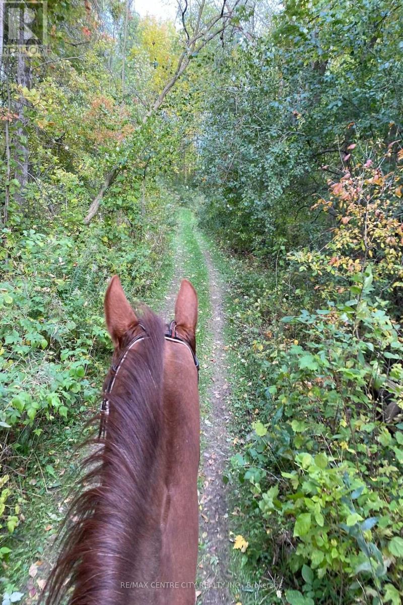 89482 BELMORE LINE Property Photo