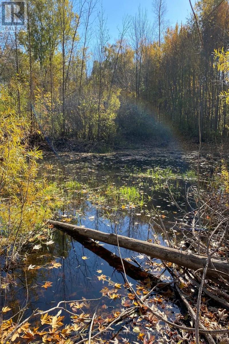 89482 BELMORE LINE Property Photo